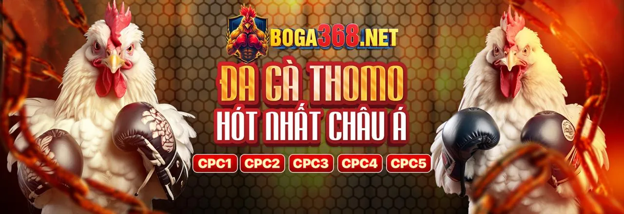 Hình ảnh cookie chức năng giúp ww888 nổ hũ cá nhân hóa trải nghiệm người dùng